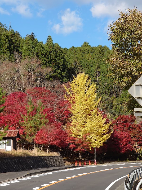 Kameoka 1