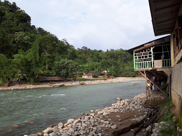 Bukit Lawang 4