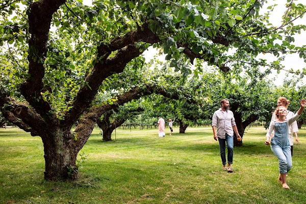 Kivik Cider factory