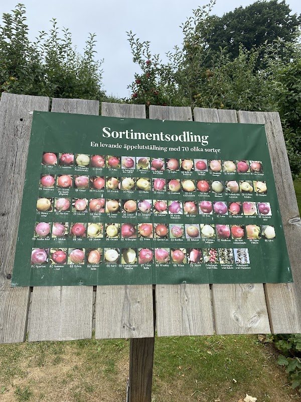 Kivik Cider factory 4