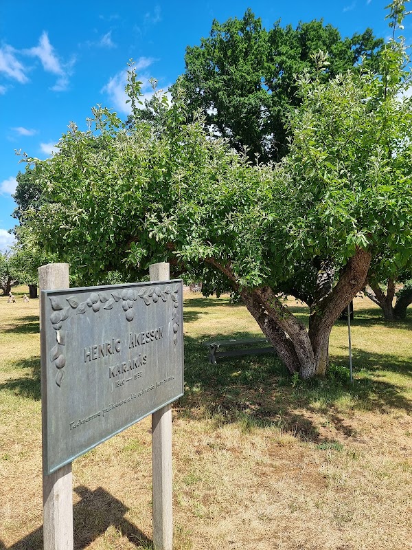 Kivik Cider factory 3