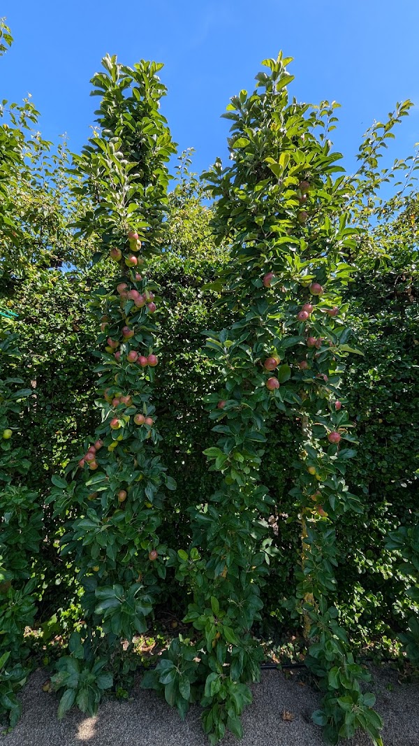 Kivik Cider factory 2