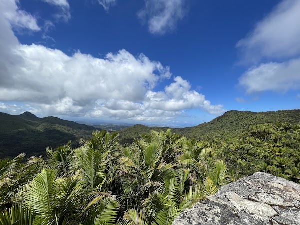 Torre Britton 1