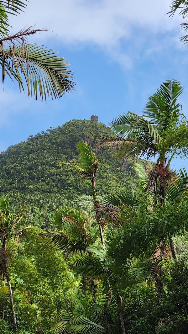 Torre Britton 4