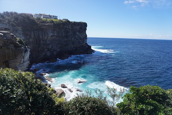 Waverley Cliff Walk - Dover Heights