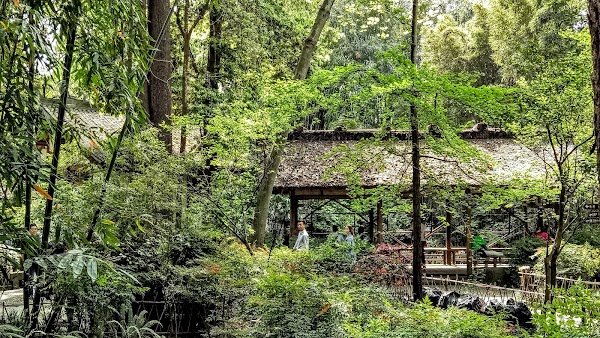 Du Fu Thatched Cottage （Southwest Gate） 4