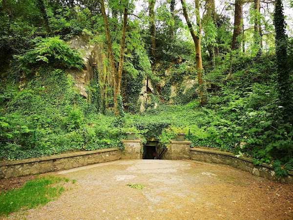 Mitchelstown Cave 4