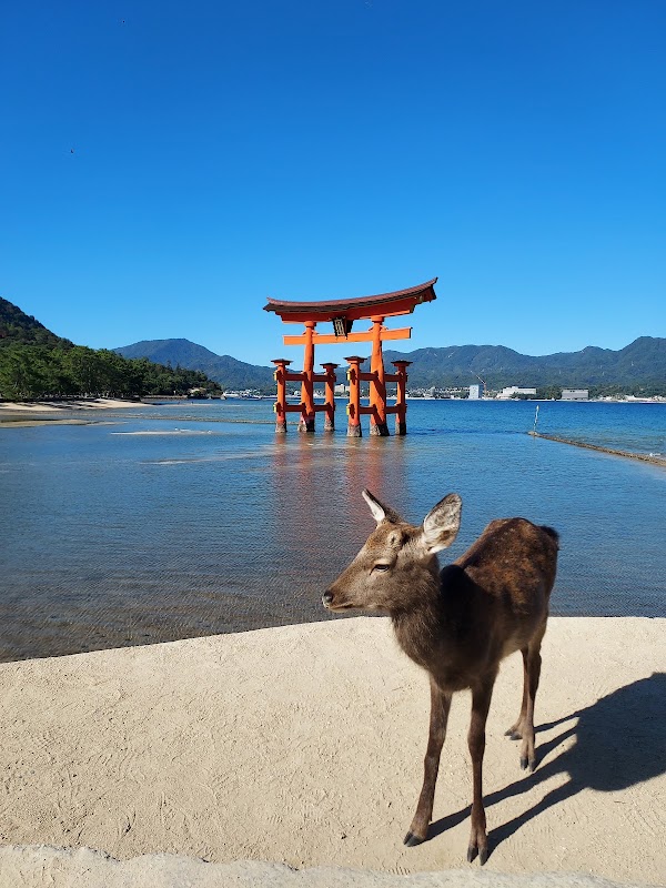 Itsukushima Shrine Otorii Gate 4