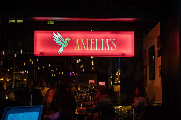 Amelia's