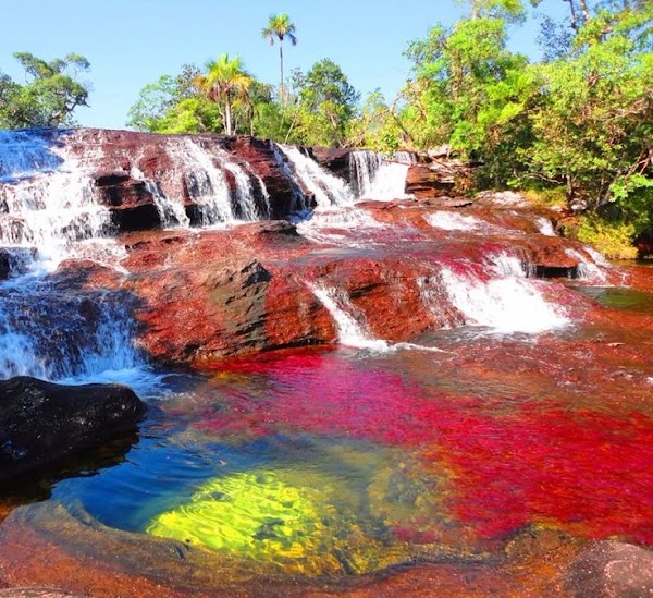 Caño Cristales 4