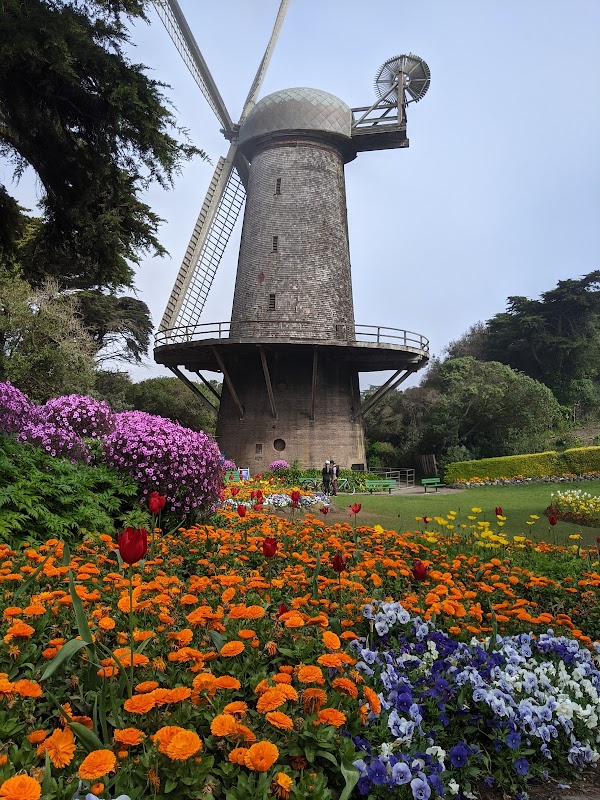 Queen Wilhelmina Garden 1