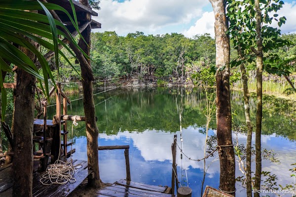 Cenote Las Mojarras 1