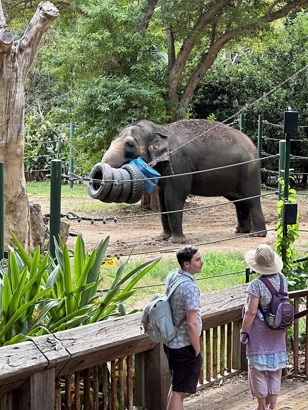 Perth Zoo 4