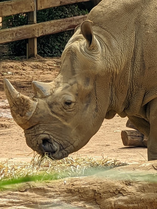 Perth Zoo 3