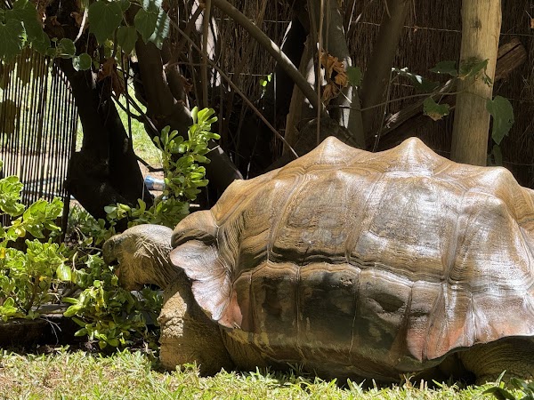 Perth Zoo 2