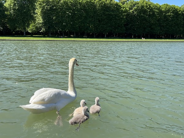 Grand Canal of Versailles 5