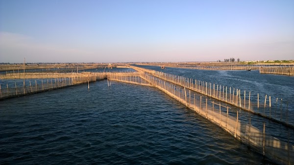 Tam Giang Lagoon