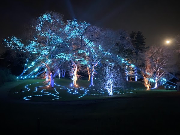 The Morton Arboretum 4