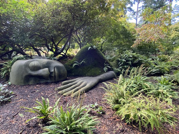 The Moss Lady