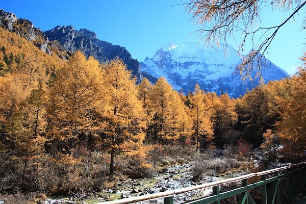 Yading National Nature Reserve Management Bureau 4