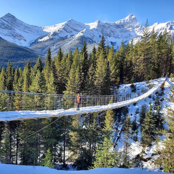 Blackshale Creek Suspension Bridge 2