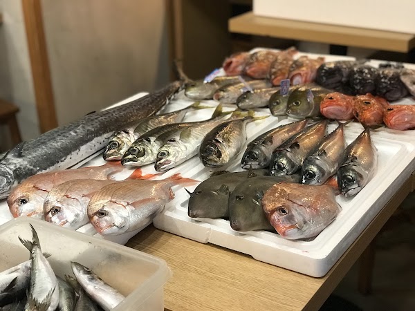 UOUO 魚王魚王 5