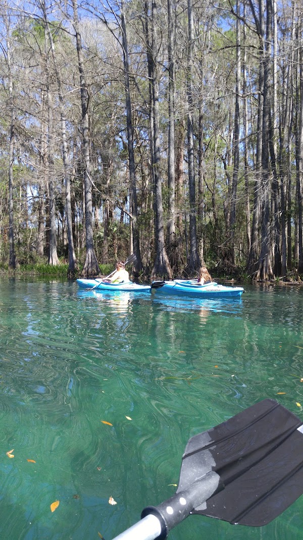 Dunnellon