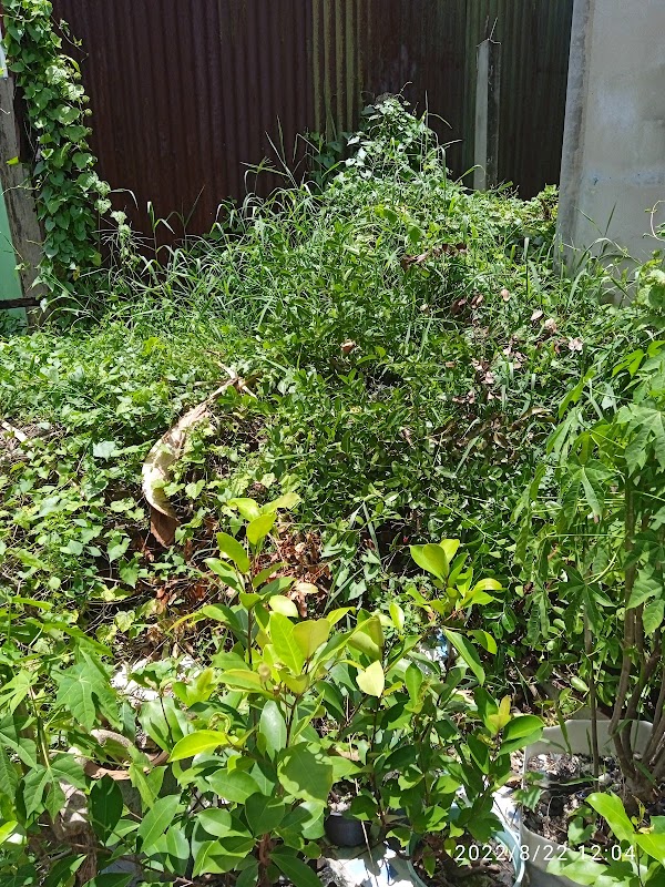 Baan Krua Tai Community Center 3