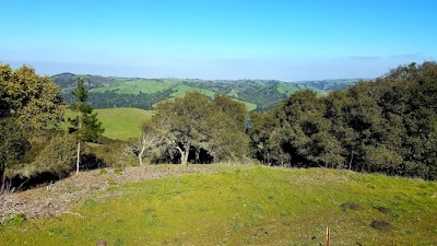 Tilden Regional Park 2