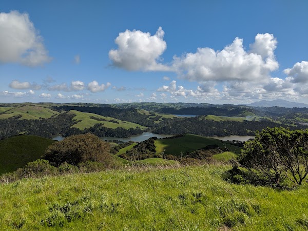 Tilden Regional Park 1