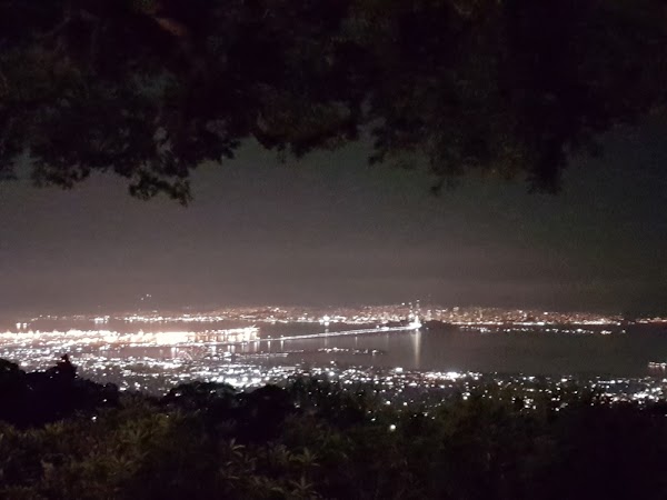 Tilden Regional Park 4