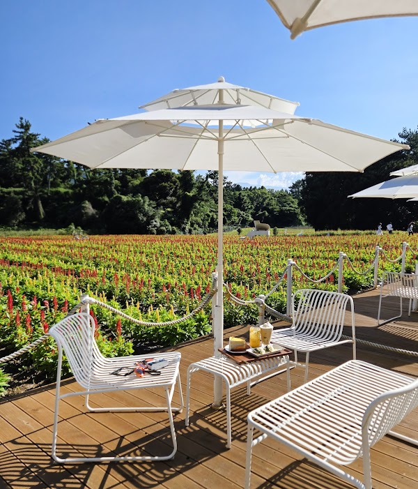 BEECAVE(비케이브) Jeju Cave Cafe 1