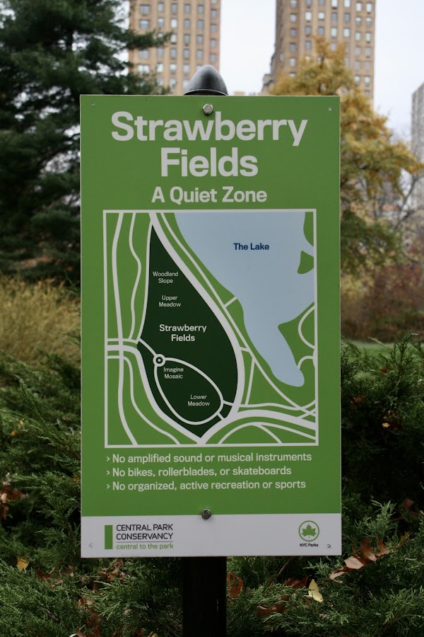Strawberry Fields 4