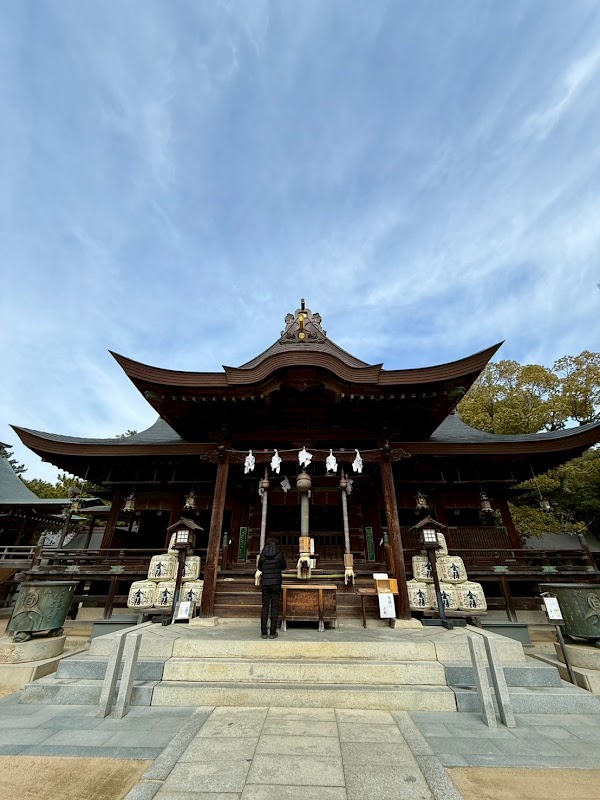 Shikokuo 39