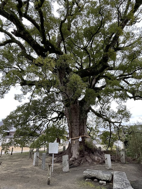 Shirotori Shrine 2