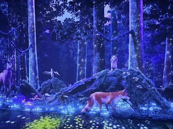 Magic Flow Wonder Park 2