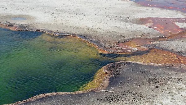 Black Pool 1