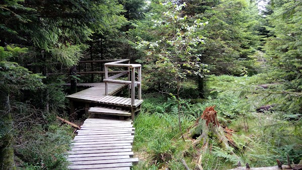 Lotharpfad 1