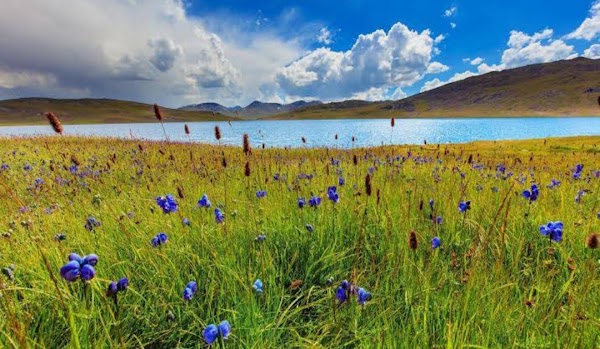 Deosai National Park 4