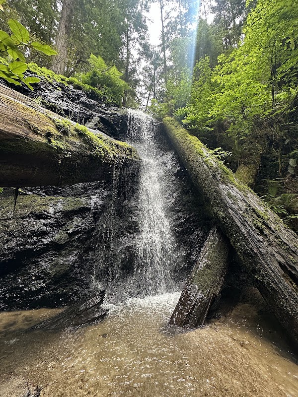 Fern Canyon to Falls Loop Trails pasear