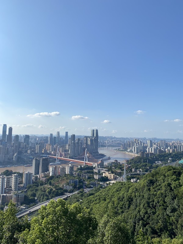 一棵树景区