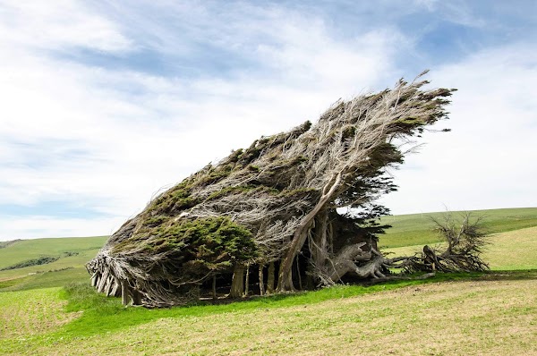 Slope Point