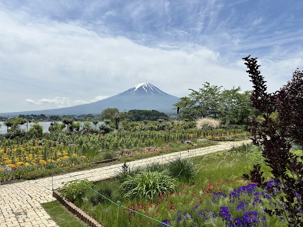 Oishi Park 5