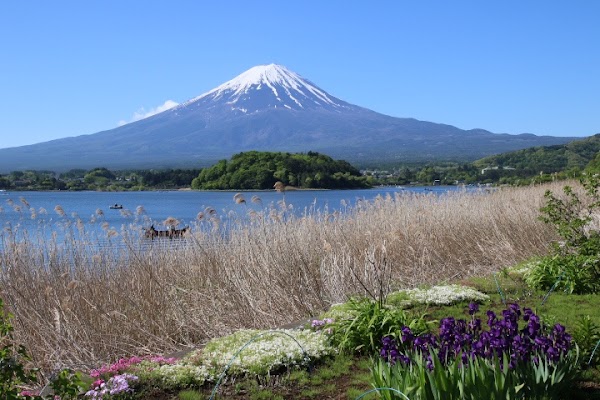 Oishi Park 4