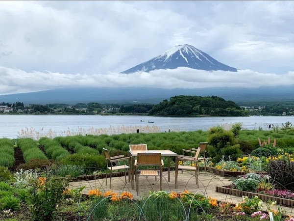 Oishi Park 2