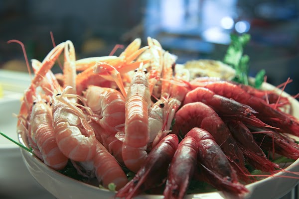 Ristorante Piazza Palmieri 5