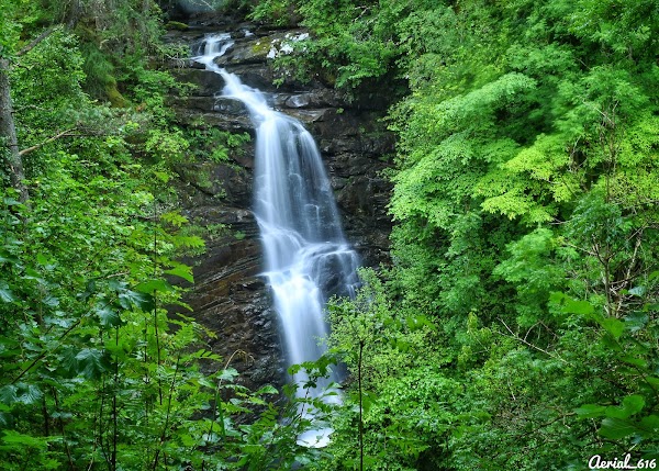The Birks Of Aberfeldy