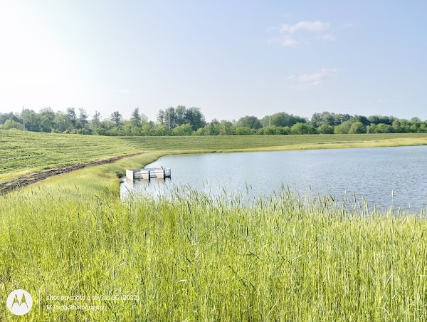 Buffalo Lake 1