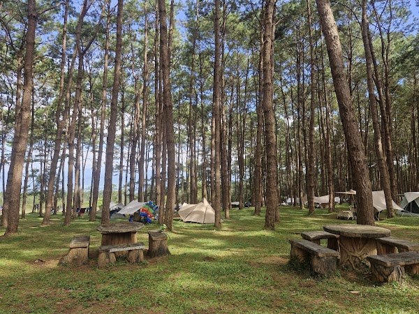 Phu Hin Rong Kla National Park 5