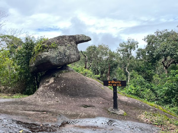 Phu Hin Rong Kla National Park 3